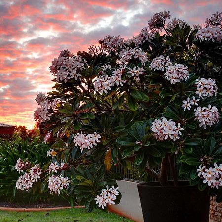 Mantra Frangipani Broome Exteriör bild