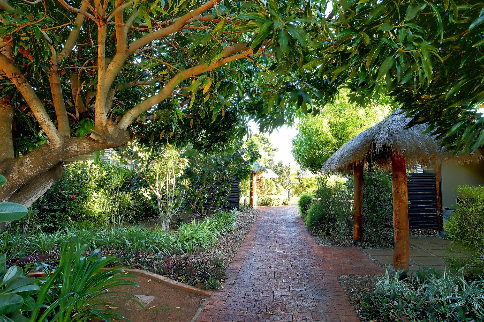 Mantra Frangipani Broome Exteriör bild